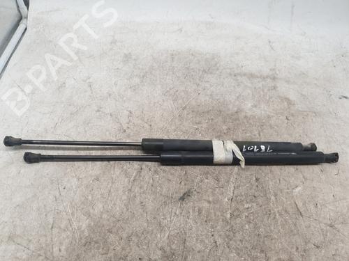Used Tailgate lift support RENAULT SCÉNIC III (JZ0/1_) 1.5 dCi (110 hp) 29543419
