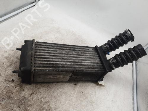 intercooler-peugeot-307-break-3e-2002-2003-2004-2005-2006-2007-2008-2009-31356845 main image