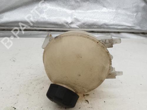 Used Expansion tank PEUGEOT PARTNER Box Body/MPV 1.6 HDi (90 hp) 22881163