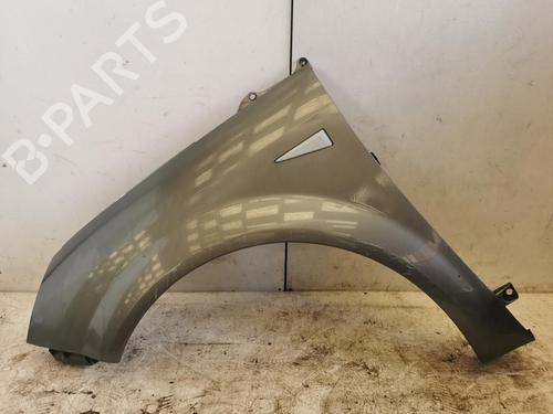 Left front fenders RENAULT GRAND SCÉNIC II (JM0/1_) 1.9 dCi (JM0G, JM12, JM1G, JM2C) | BP22871865C41 