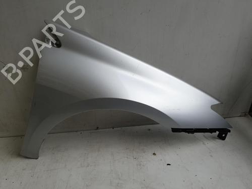 Right front fenders RENAULT LAGUNA III (BT0/1) 2.0 dCi (BT07, BT0J, BT14, BT1A, BT1S) | BP22879866C42 