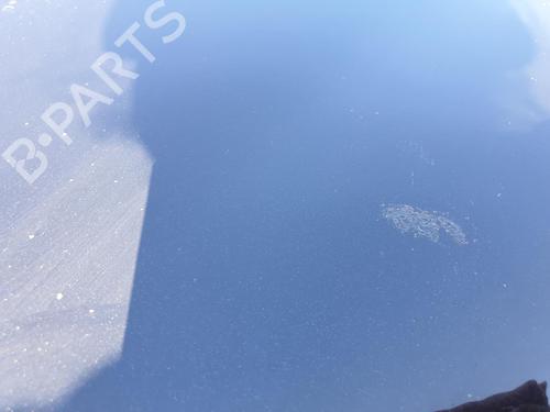 Hood FORD KUGA I 2.0 TDCi | BP25594574C1 