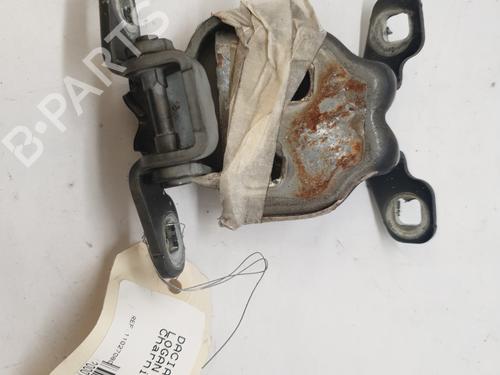 Hinge/Door check strap DACIA LOGAN MCV (KS_) 1.5 dCi (KS0W) | BP27884266C146 