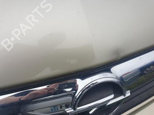 Hood OPEL MERIVA A MPV (X03) 1.6 (E75) | BP28415904C1 