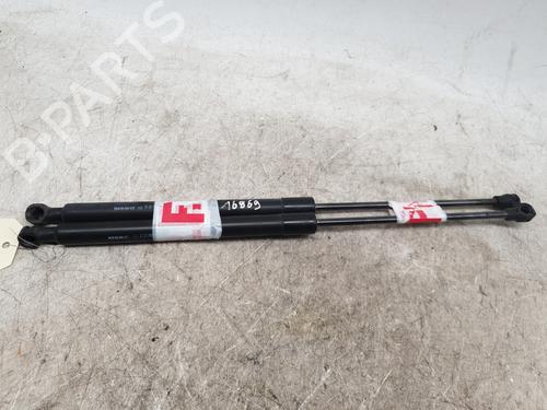 Hood lift support DACIA SANDERO II 1.0 SCe 75 (B8JC, B8JD, B8NC) | BP29961342C139