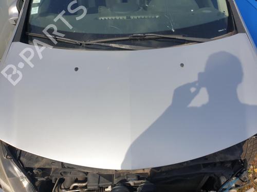 Hood RENAULT CLIO III (BR0/1, CR0/1) 1.5 dCi (BR17, CR17) | BP28154002C1 