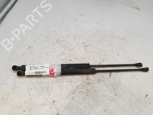 tailgate-lift-support-peugeot-307-3ac-2000-2001-2002-2003-2004-2005-2006-2007-2008-2009-2010-2011-2012-36650513 main image