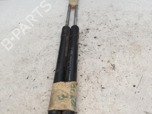Used Tailgate lift support RENAULT CLIO III (BR0/1, CR0/1) 1.5 dCi (75 hp) 25843371