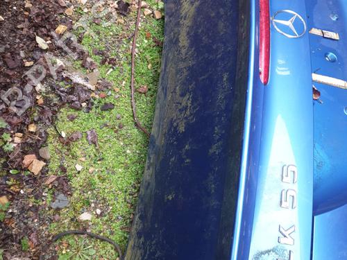 Used Tailgate Tailgate MERCEDES-BENZ CLK (C209) CLK 55 AMG (209.376) (367 hp) 22874583 22874583
