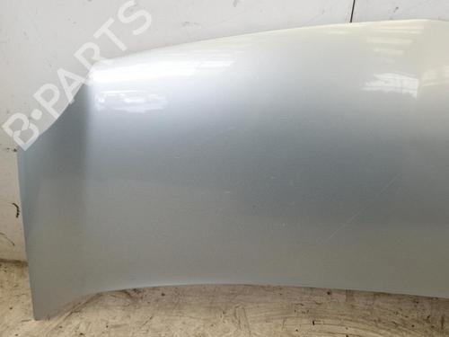 Used Hood RENAULT KANGOO / GRAND KANGOO II (KW0/1_) 1.5 dCi 70 (KW0V, KW0A) (68 hp) 22878659