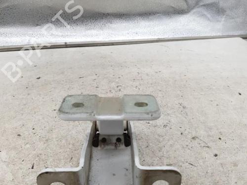 Hinge/Door check strap RENAULT KANGOO Express (FW0/1_) 1.5 dCi 75 (FW07, FW10, FW04) | BP25843110C146 