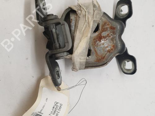 Hinge/Door check strap DACIA LOGAN MCV (KS_) 1.5 dCi (KS0W) | BP27884266C146 