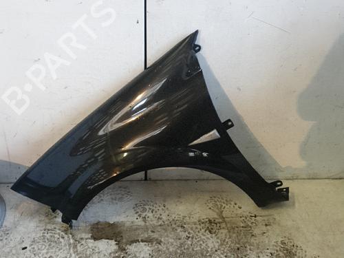 Used Left front fenders RENAULT MEGANE II (BM0/1_, CM0/1_) 1.9 dCi (BM0G, CM0G) (120 hp) 22878937