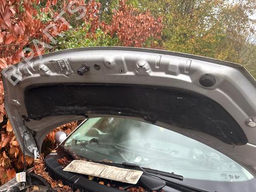 Used Hood Hood RENAULT GRAND SCÉNIC II (JM0/1_) 1.9 dCi (JM14) (131 hp) 39728421 39728421