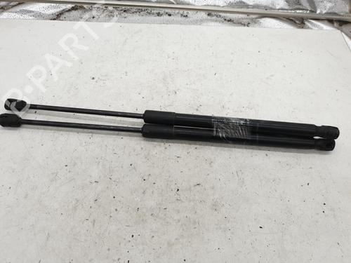 Tailgate lift support RENAULT CLIO III Grandtour (KR0/1_) 1.5 dCi (KR0H, KR1S) | BP22879325C138 