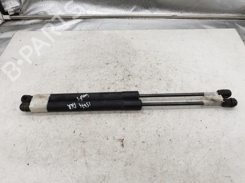 Tailgate lift support VW GOLF V (1K1) 1.9 TDI | BP22870387C138 