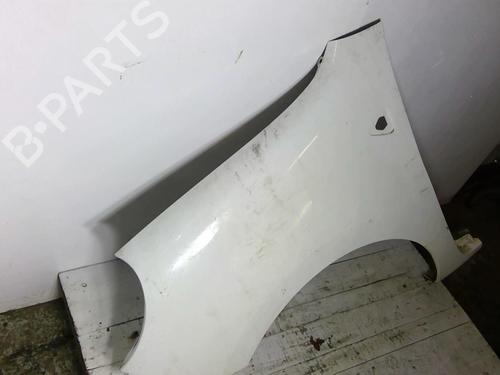 Used Left front fenders RENAULT KANGOO Express (FW0/1_) 1.5 dCi 85 (FW0K, FW0L, FW0B) (86 hp) 22868965