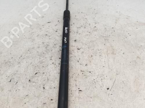 Used Hood lift support RENAULT MEGANE III Hatchback (BZ0/1_, B3_) 1.5 dCi (BZ09, BZ0D, BZ1W, BZ29, BZ14) (110 hp) 24423098