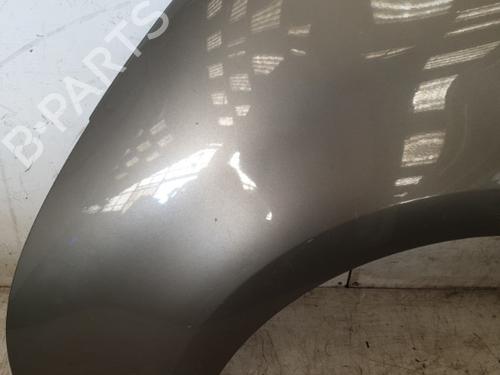 Left front fenders CITROËN C4 Picasso I MPV (UD_) 1.6 HDi 110 | BP22864797C41 