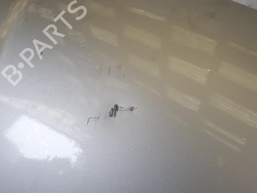 hood-fiat-500-312_-13-d-multijet-312axb1a-0000052009424-2007-22877018 main image