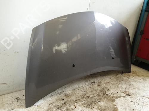 hood-renault-clio-iii-br01-cr01-15-dci-br17-cr17-7751476113-2005-2006-2007-2008-2009-2010-2011-2012-2013-2014-22871827 main image