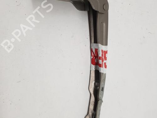 Used Hinge/Door check strap Hinge/Door check strap DACIA LODGY (JS_) 1.2 TCe (JSAY, JSM0) (115 hp) 27926579 27926579