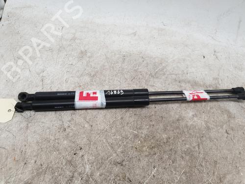 Hood lift support DACIA SANDERO II 1.0 SCe 75 (B8JC, B8JD, B8NC) | BP29961342C139