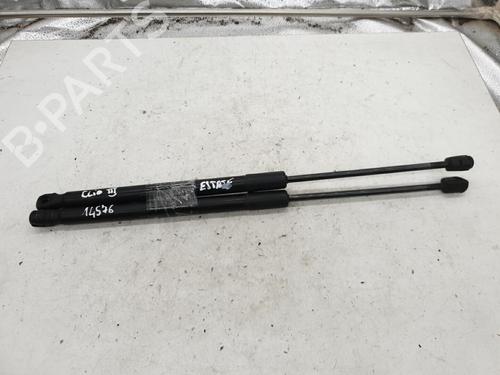 Tailgate lift support RENAULT CLIO III Grandtour (KR0/1_) 1.5 dCi (KR0H, KR1S) | BP22879325C138 