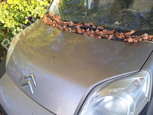 Hood CITROËN NEMO MPV 1.4 HDi | BP22873634C1
