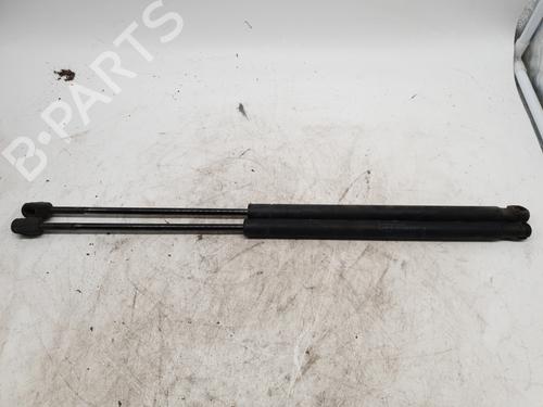 Used Tailgate lift support RENAULT SCÉNIC II (JM0/1_) 1.5 dCi (JM1E, JM16) (106 hp) 22869394