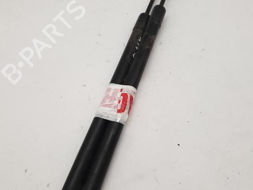 tailgate-lift-support-renault-modus-grand-modus-fjp0_-2004-27589824 main image