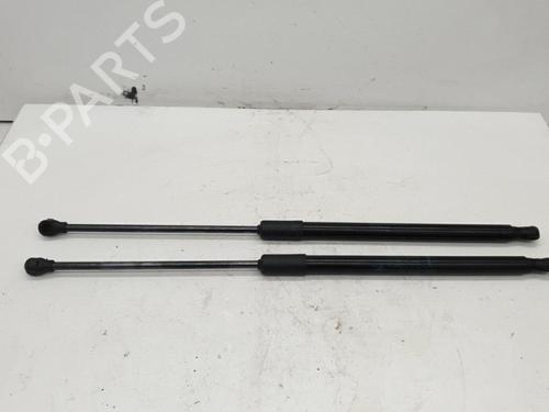 Used Tailgate lift support RENAULT CLIO V (B7_) 1.0 TCe 90 (B7MT) (91 hp) 22876567