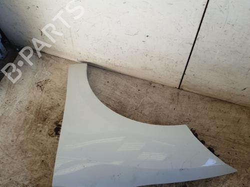 Left front fenders RENAULT MEGANE III Hatchback (BZ0/1_, B3_) 1.5 dCi (BZ09, BZ0D, BZ1W, BZ29, BZ14) | BP22864557C41 