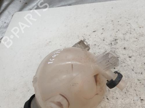 expansion-tank-peugeot-2008-i-cu_-2013-24423082 main image