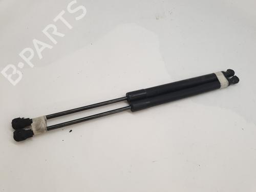 Tailgate lift support RENAULT CLIO IV (BH_) 1.5 dCi 75 | BP26653846C138 
