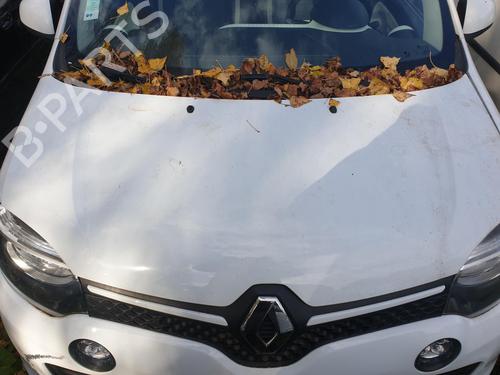 Hood RENAULT TWINGO III (BCM_, BCA_) 1.0 SCe 70 (BCMB) | BP30106837C1 