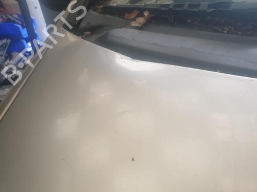 Hood FIAT PUNTO (188_) 1.2 60 (188.030, .050, .130, .150, .230, .250) | BP29074329C1 