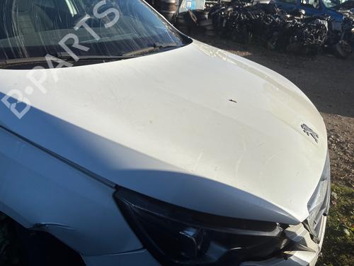 Used Hood Hood 39603816 39603816