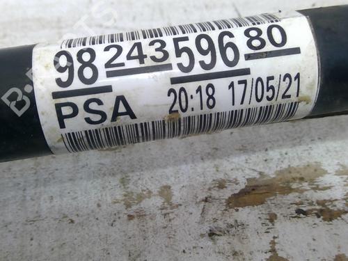 Used Right front driveshaft PEUGEOT 2008 II (UD_, US_, UY_, UJ_, UR_, UC_) 1.5 BlueHDI 110 (UDYHSK) (110 hp) 22876305
