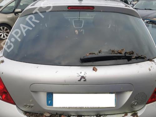 Used Tailgate PEUGEOT 207 (WA_, WC_) 1.6 HDi (92 hp) 22886512