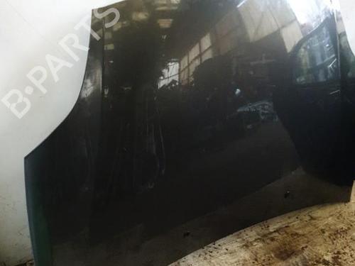 Used Hood FIAT BRAVO II (198_) 1.9 D Multijet (198AXB1A) (120 hp) 22870681