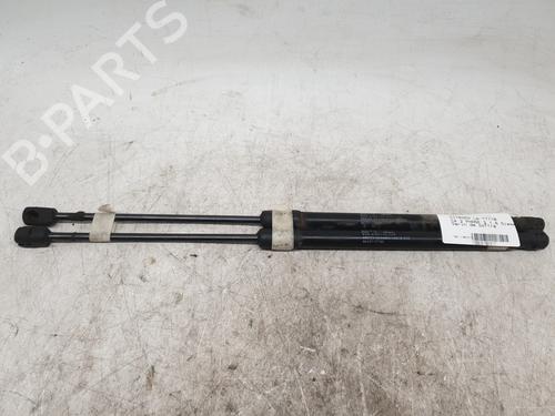 gasdmper-bagklap-citroen-c4-ii-nc_-2009-30901832 main image