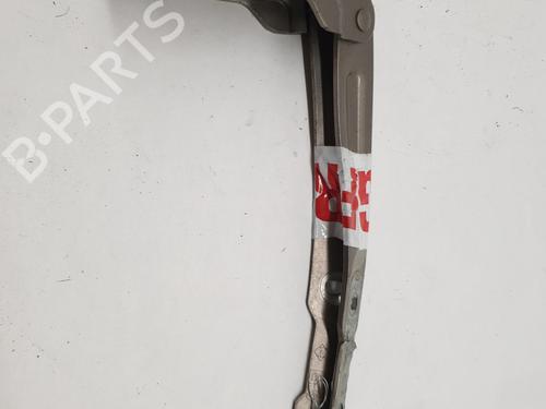 Used Hinge/Door check strap DACIA LODGY (JS_) 1.2 TCe (JSAY, JSM0) (115 hp) 27926579