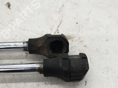Tailgate lift support FIAT PANDA (169_) 1.3 D Multijet (169.AXC1A) | BP24422228C138 