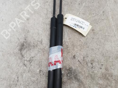 Tailgate lift support RENAULT CLIO IV (BH_) 1.5 dCi 90 | BP30100665C138