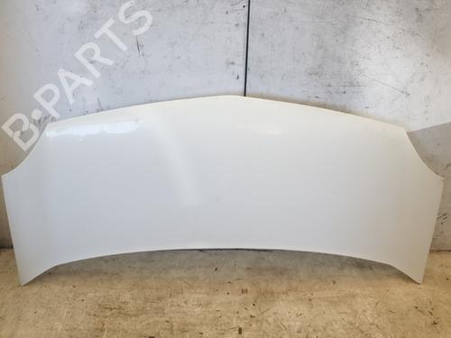 hood-renault-kangoo-grand-kangoo-ii-kw01_-2008-34217717 main image
