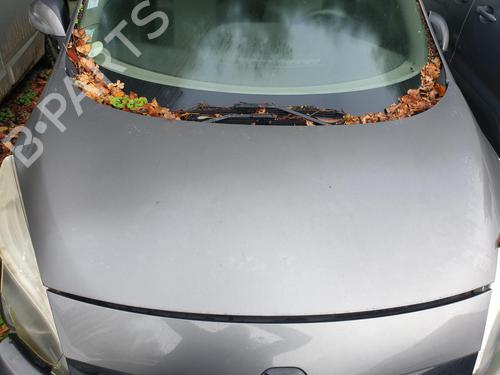 Hood RENAULT GRAND SCÉNIC III (JZ0/1_) 1.5 dCi (JZ09, JZ0D, JZ10, JZ14, JZ1G, JZ29, JZ2C) | BP30180773C1 