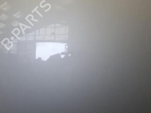 Hood LAND ROVER FREELANDER I (L314) 2.0 DI 4x4 | BP22870811C1 