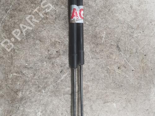 Used Tailgate lift support CITROËN C4 II (NC_) 2.0 HDi / BlueHDi 150 (150 hp) 29840053