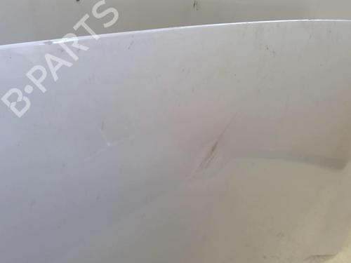 Used Hood RENAULT KANGOO Express (FW0/1_) 1.5 dCi 70 (FW0A, KW0V) (68 hp) 22880247